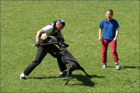 SVV exam - 25. 8. 2007 - Jelenec - Slovakia